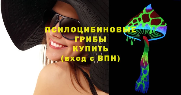 ешки Осинники